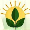 Icoon duurzaamheid - groene blad en zon